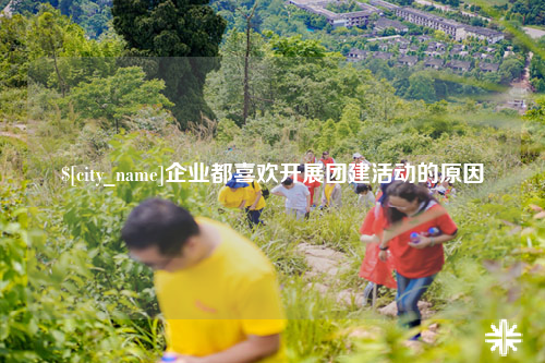 楚雄企业都喜欢开展团建活动的原因